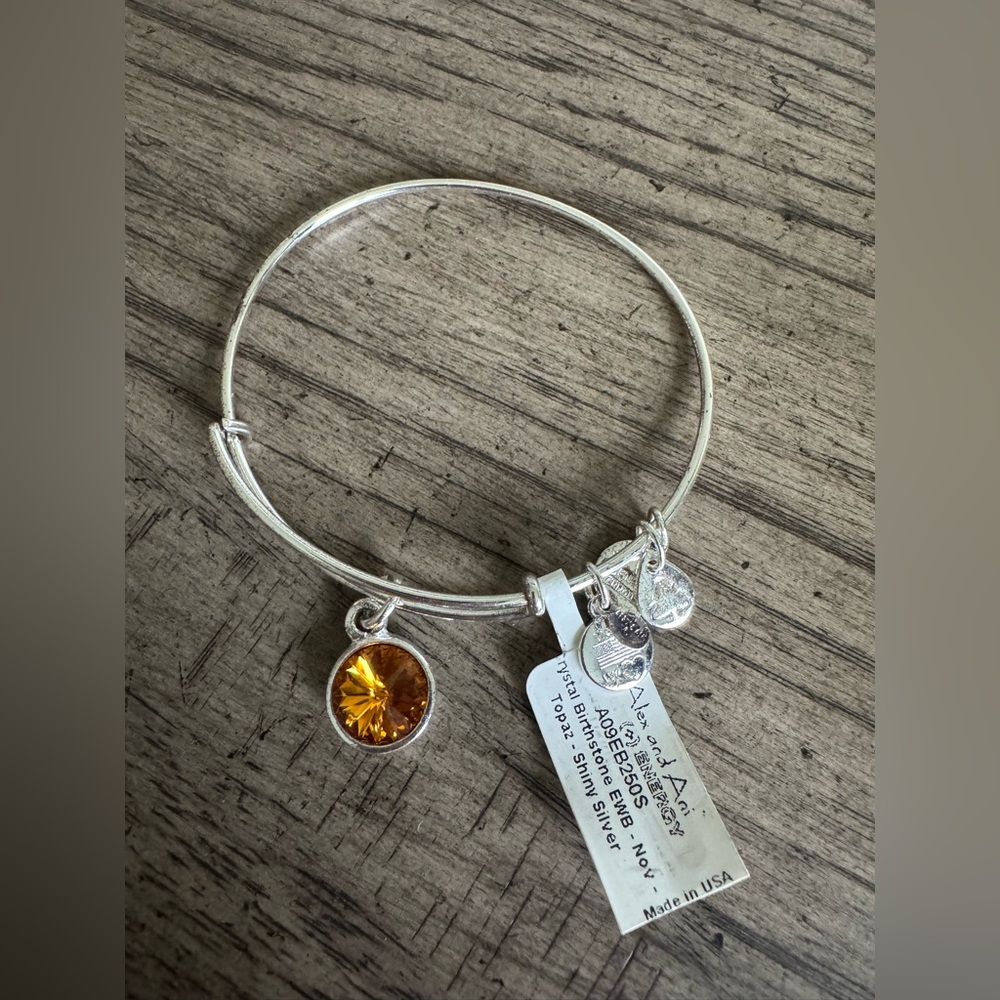 NEW ALEX AND ANI Charm Bracelet NWT Crystal Birthstone Topaz Shin…